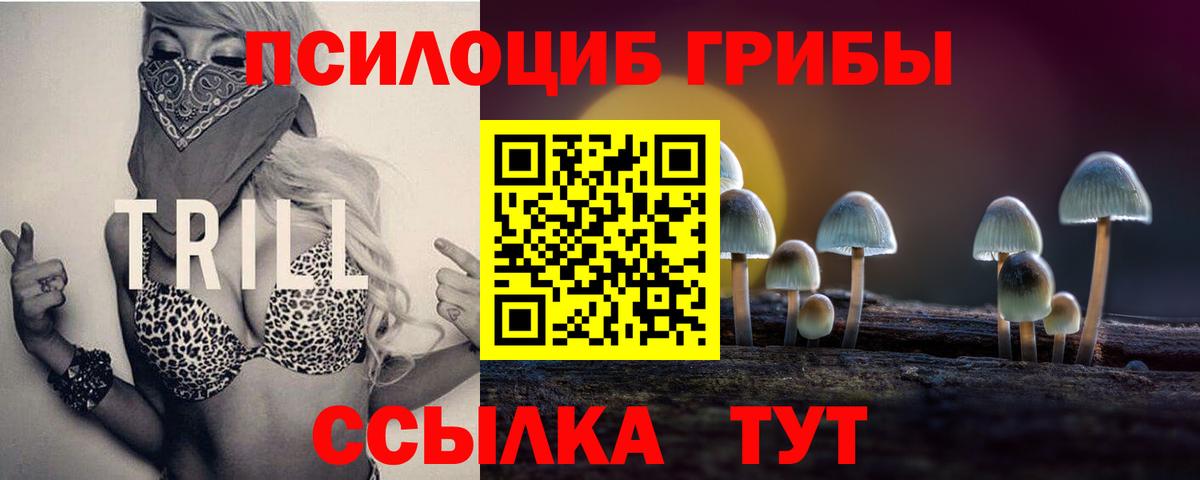 Галлюциногенные грибы GOLDEN TEACHER  Псилоцибиновые грибы Cubensis  Железноводск  Вход с VPN 